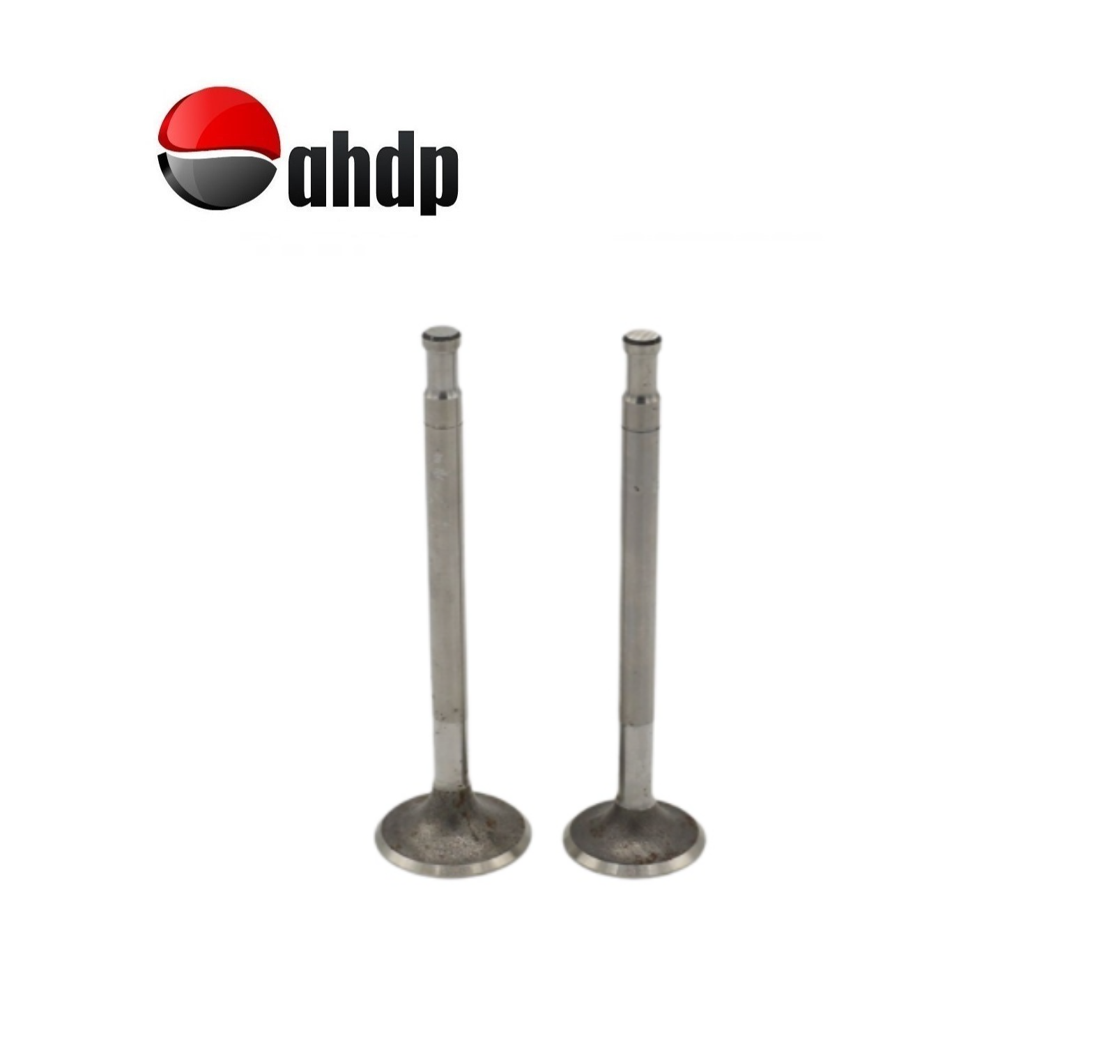 ENGINE VALVE SET IN+EX HATZ - HZ0103026900, HZ0103026800